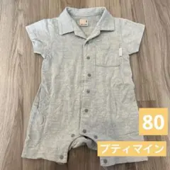 プティマイン　恐竜