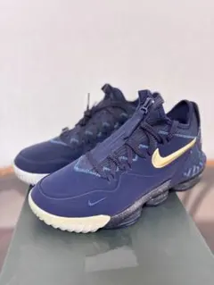 2026年最新】レブロン16 lowの人気アイテム - メルカリ