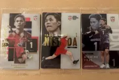 男子バレーボール日本代表 西田有志 メタリックプラカード ウエハース