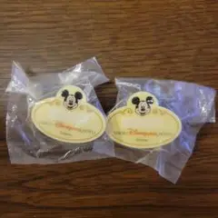 東京ディズニーランドホテル ミッキーマウス ピンバッジ 2個セット