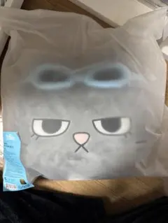 BOYNEXTDOOR ボネクド プネクド クッション テップン テサン