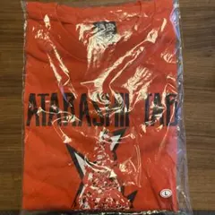 吉田拓郎 春だったね2026 ツアー Tシャツ Lサイズ - メルカリ