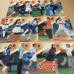 2025 BBM fusion 始球式　カード　セット　14枚