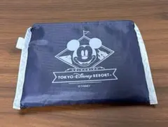 東京ディズニーリゾート エコバッグ