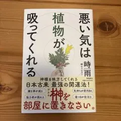 悪い気は植物が吸ってくれる