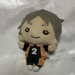 ハイキュー!! 菅原孝支 にとたん ぬいぐるみ - メルカリ