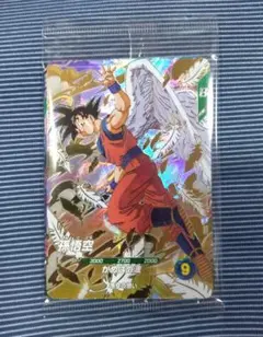 ダイバーズ GDR PRまとめ売り ダイバーズ GDR PRまとめ売り