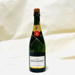 特大空瓶】MOET&CHANDONダブルマグナム/ジェロボアム木箱付きボトル