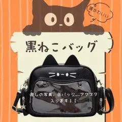 もこもこ　黒猫　黒2wayバッグ　痛バッグ　量産系　地雷系 もこもこ 黒猫 黒2wayバッグ 痛バッグ 量産系 地雷系の通販 by