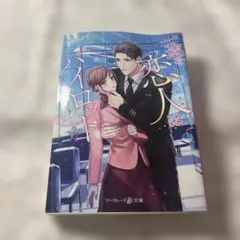 マーマレード文庫 高田ちさき 一途な恋人はパイロット～エアポートラブ～