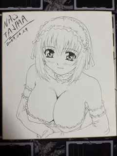 希少】田島直 直筆イラスト・サイン色紙 NAOTAJIMA 一点物 - メルカリ