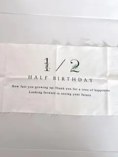 Item thumbnail for item 25f95382-7279-4bae-b4eb-2cb3a295d56e