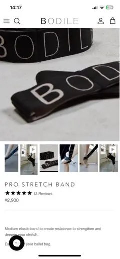 【新品未使用】BODILE ボディール 限定品ヤスミナレオタード　シマー S/M ボディール ヤスミナ レオタード BODILE YASMINA LEOTARD