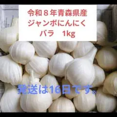 令和８年青森県産ジャンボにんにくバラ１kg 栽培期間中農薬不使用のサムネイル