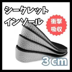 3cm シークレット インソール 中敷き 身長アップ 美脚　メッシュ　靴　黒