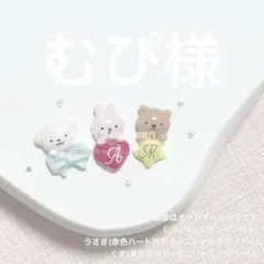 むぴ様【お急ぎ+速達】