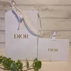 DIOR ショップ袋 2点セットのサムネイル