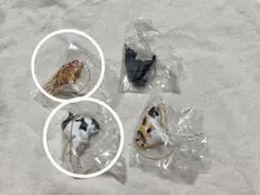 猫雑貨フィギュア釣りマスコット黒猫茶トラ三毛猫水槽用オブジェ装飾ビオトープメダカ