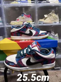 Piet Parra × Nike SB Dunk Low Pro