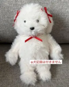 犬記録　ぬい用　おめかしリボン