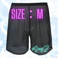 U2M-4 極薄 シースルー 透明シアーパンツ セクシー 下着 アイスシルク