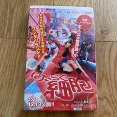 Item thumbnail for item 5c969f08-a0b6-4091-8b2b-c782372d406d