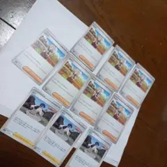 カエデ、シバ、10枚セット　ポケモンカード