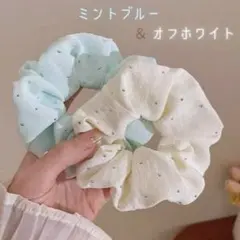 シフォンシュシュ 2個 ビジュー付 淡色 春 上品 ヘアゴム 大人かわいい