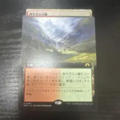 MTG 樹木茂る山麓　ボーダレス　非foil