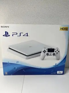 SONY PS4 CUH-2200BB02 グレイシャーホワイト