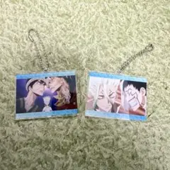 Dr.STONE アクキー2点セット