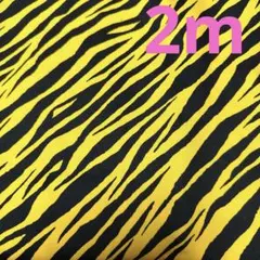 ツイル★4枚限り★ゼブラ★黒黄★