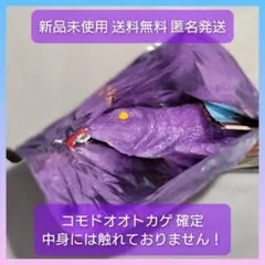 【早い者勝ち】【A1】スーパーアニマル&co.アンドコ　コモドオオトカゲ