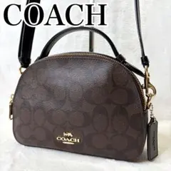 極美品】COACH 2way ショルダーバッグ シグネチャー キャリーオール