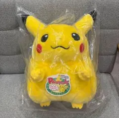 d*e様 タカラトミー ポケモン 1/1 ピカチュウ 一番くじ ヒトカゲ