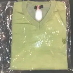 DAKS ライトグリーン Vネック ニット
