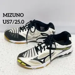 Mizuno WAVE LIGHTNING Z3 バレーボールシューズ