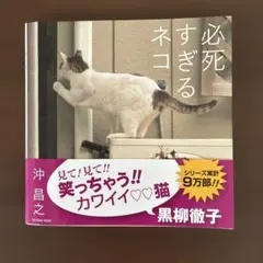 必死すぎるネコ