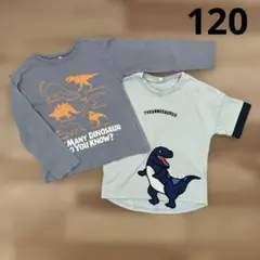 恐竜　Tシャツ　半袖　長袖　2着セット