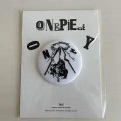 ワンピース オンリー展 ロゴ 刺繍缶バッジB ルフィ