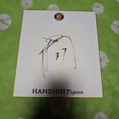 Item thumbnail for item 3544866e-b1f0-41fc-8d42-7f7d9d5174ac