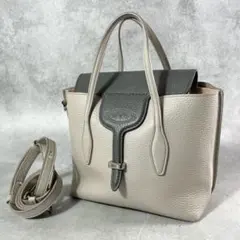 美品 TOD'S トッズ ジョイ ミニ 2way ショルダーバッグ グレージュ