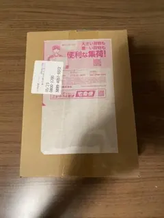 新品未開封】ポケセン産 ニンジャスピナー ダンボール完全未開封
