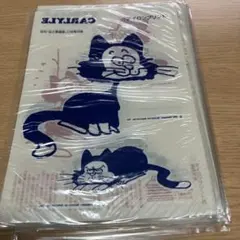 Item thumbnail for item 7087af96-d461-4b23-8fba-50a936041552