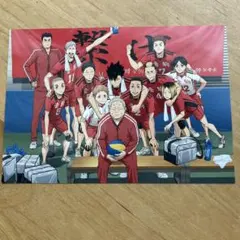 ハイキュー!!ゴミ捨て場の決戦 特典 音駒高校集合