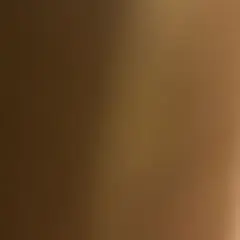 専用