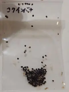 ざっきー様 リクエスト 3点 まとめ商品