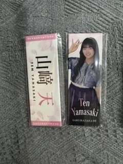 ainesu1212様 リクエスト 2点 まとめ商品