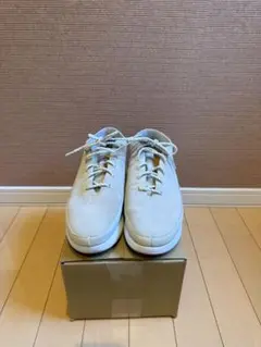 Item thumbnail for item e365f4a1-07ed-423a-8415-959f8d094d7e