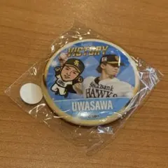 若鷹ガチャ 10 上沢直之投手